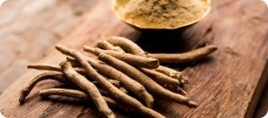 L-Citrulina puro, componente natural esencial para potenciar el flujo sanguíneo y el rendimiento
